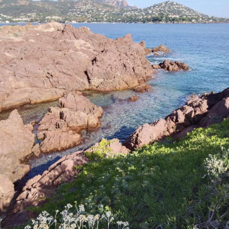 Bleu Azur Cap Esterel, Superbe 2 pièces Vue Mer Cap Estérel Trame large - Appartamento con 1 Camera da Letto - 27