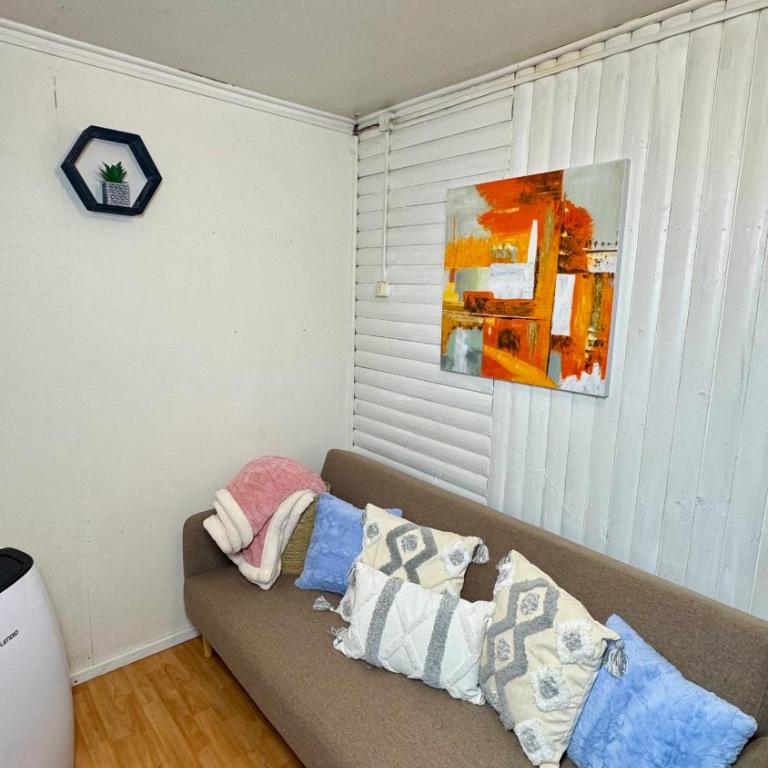 Minidepto temuco - One-Bedroom Apartment - 25