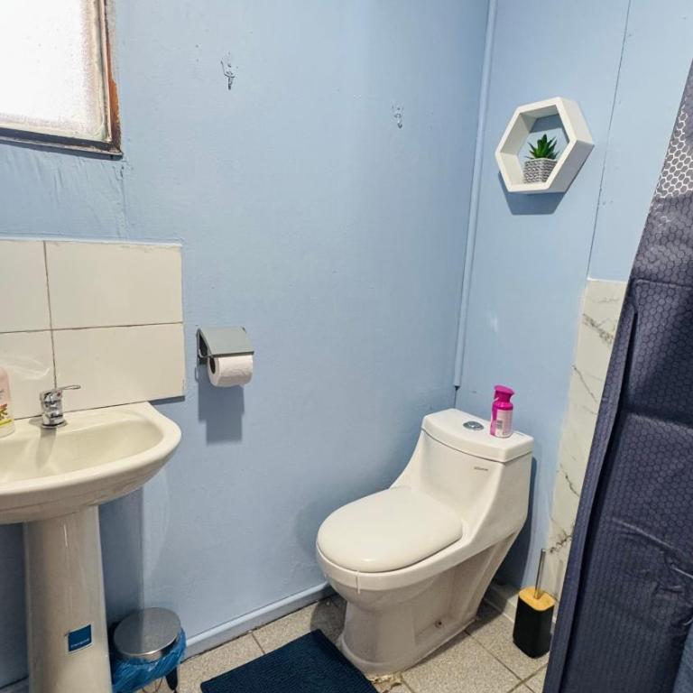 Minidepto temuco - One-Bedroom Apartment - 29