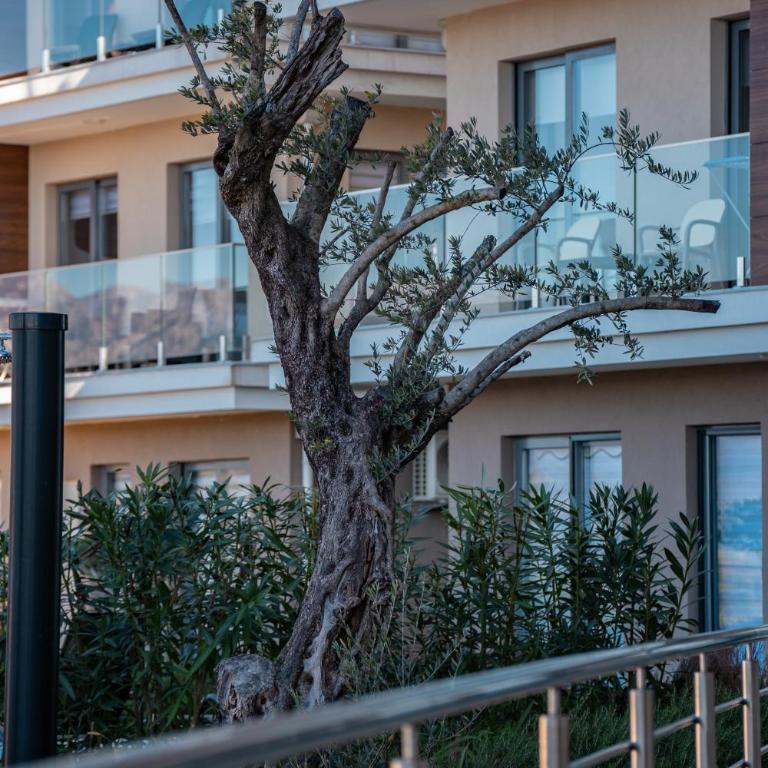 SeaView Suite with Pool near Tivat Airport by Solea Vacation Homes - One-Bedroom Apartment - 24