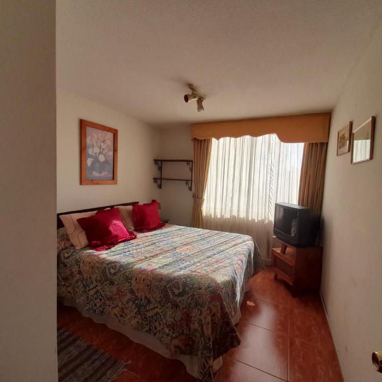 Departamento Sector Hospital Clínico UC, Posta Central, Universidades - One-Bedroom Apartment - 3
