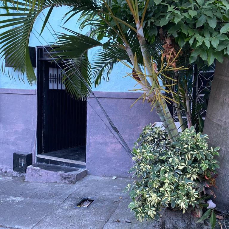 Apartamento Casa Loma - Apartamento de 2 dormitorios - 1