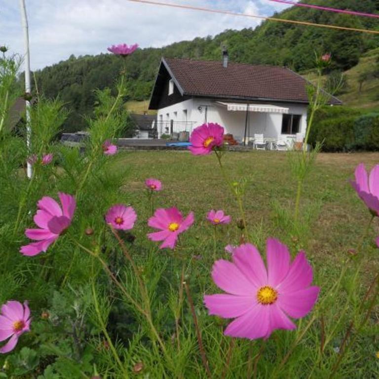 Gîte cosy à La Bresse - Proche sentiers, rivière et piste cyclable, idéal pour randonnées et séjours en famille - FR-1-589-168 - Ferienhaus (3 Erwachsene) - 1