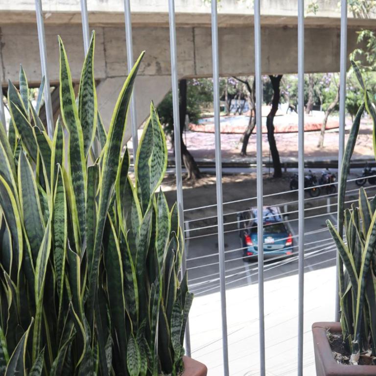 Spacious and cozy house in Polanco for 26 guests - Apartamento - 55