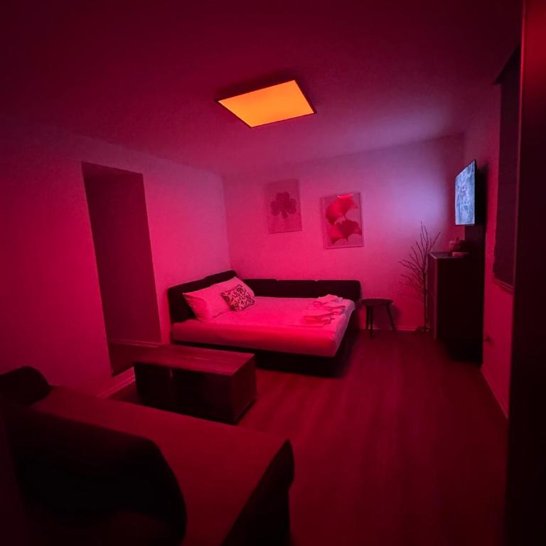 Arija Apartment Sarajevo - Apartman sa 1 Spavaćom Sobom - 14