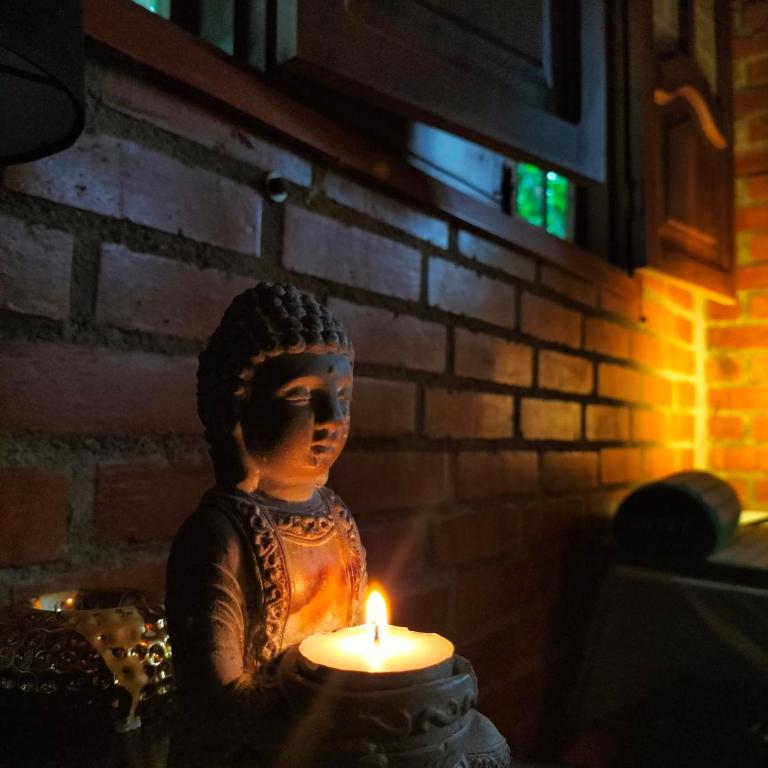 Cabaña vida - Standard Villa - 7