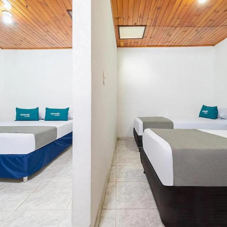 Hotel Marlon - Standard Quadruple Room - 1