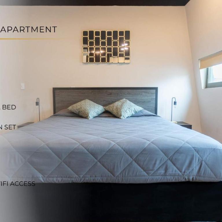 505 Heart of CDMX 1Bdrm 1bath apt AC Rooftop - Apartamento - 2