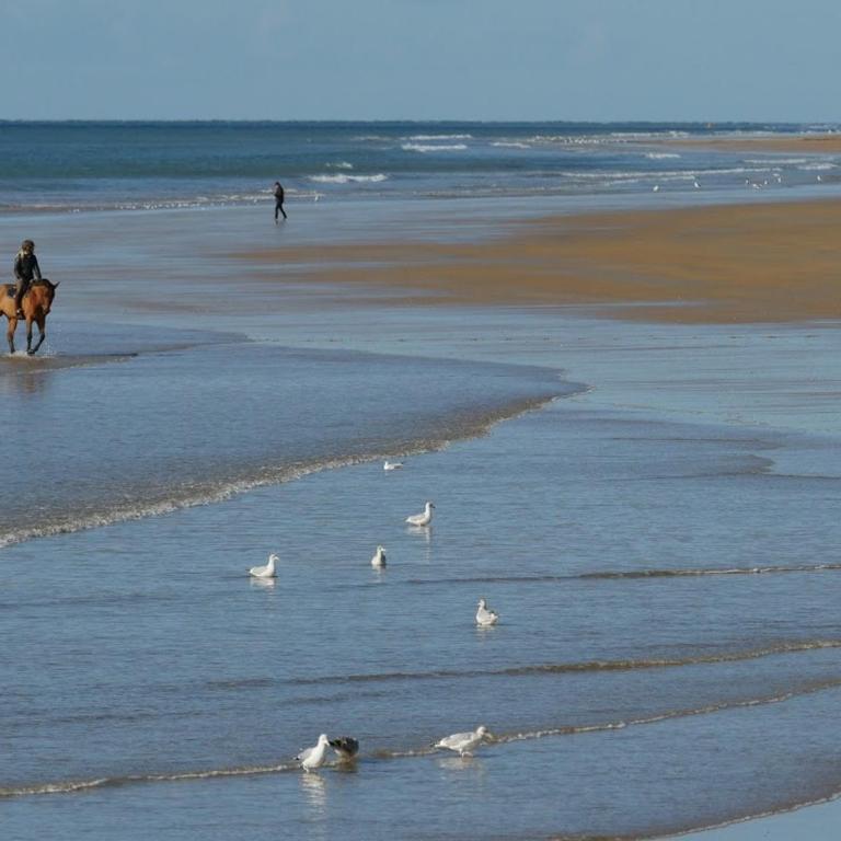 Appartement 5 pers au calme, proche plage à St Jean de Monts - FR-1-323-587 - Apartment - 19