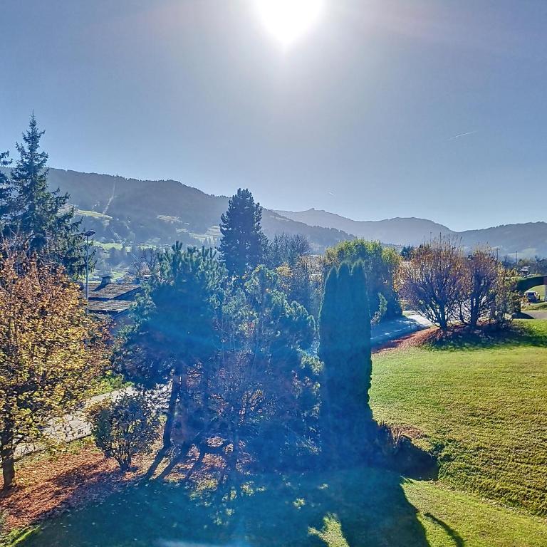 Duplex 2 pièces avec balcon et Wifi face au Mont Blanc - Appartement 1 Chambre - 13