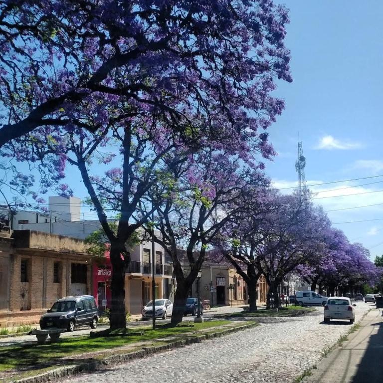 Turismo gyc - Apartamento de 1 dormitorio - 7