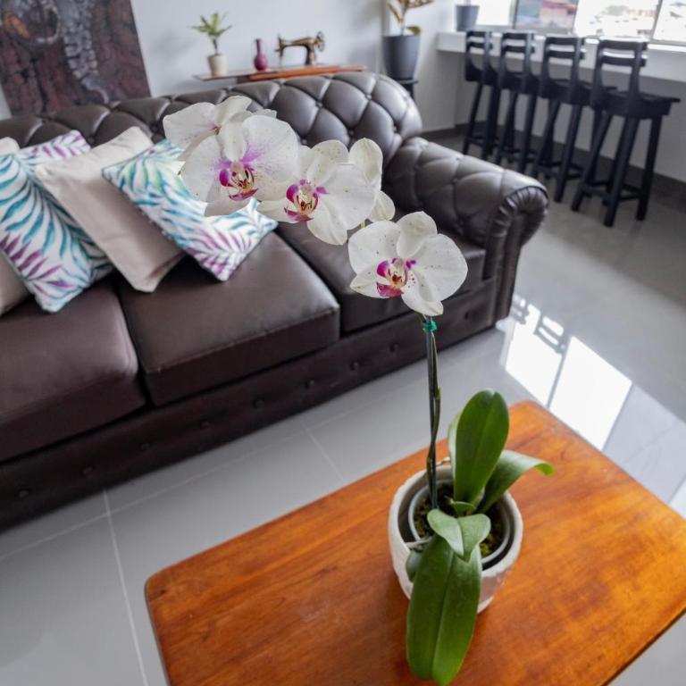 Suchiche Bohemio - Apartamento de 2 dormitorios - 24