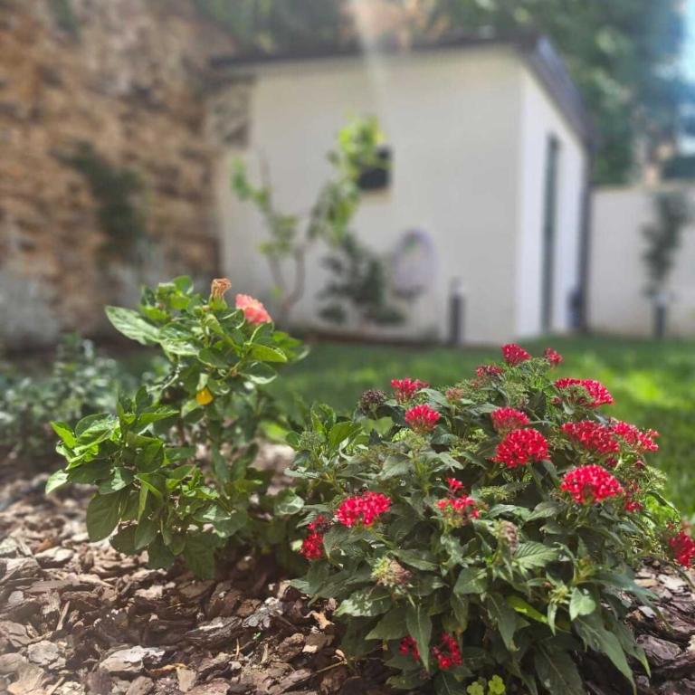 Ten Steps Reggio Calabria - Triple Room with Garden View - 2