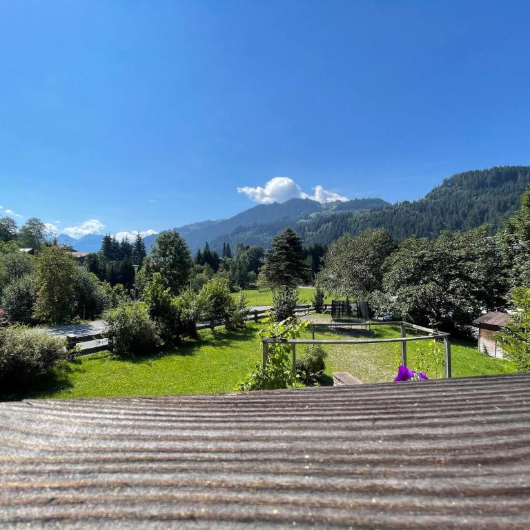 Apartments Seebichlhof Kitzbühel by Alpine Host Helpers - Appartamento con Vista Giardino - 4