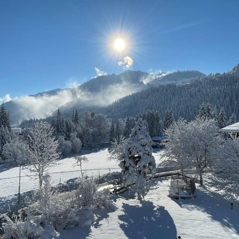 Apartments Seebichlhof Kitzbühel by Alpine Host Helpers - Appartamento con Vista Montagna - 5