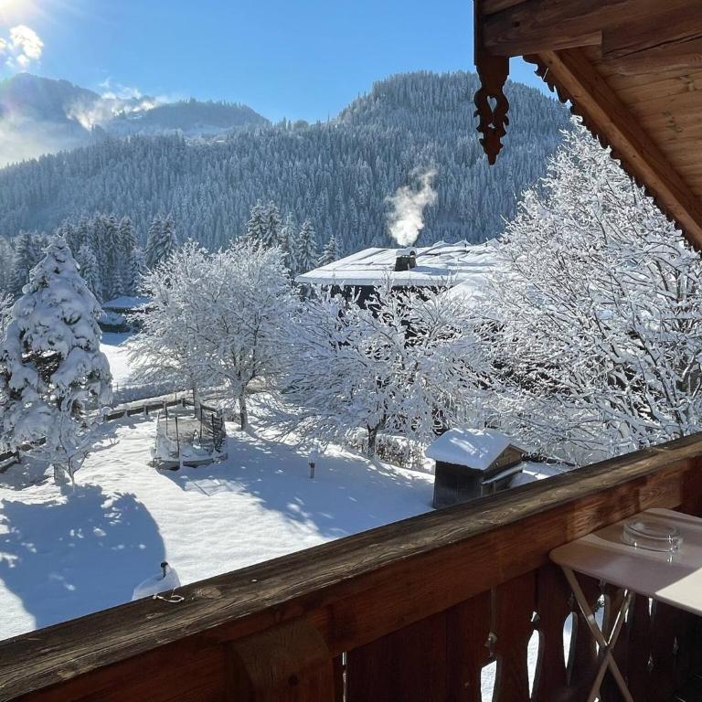 Apartments Seebichlhof Kitzbühel by Alpine Host Helpers - Appartamento con Vista Montagna - 28