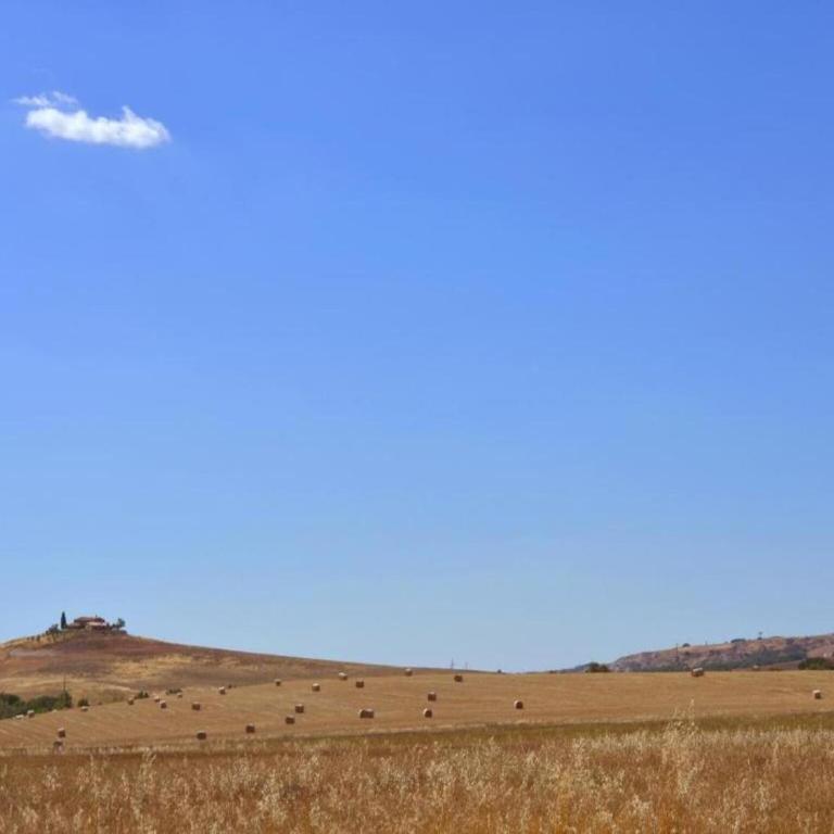 Modern Farmhouse in Pienza with Pool - Appartamento con 1 Camera da Letto - 27