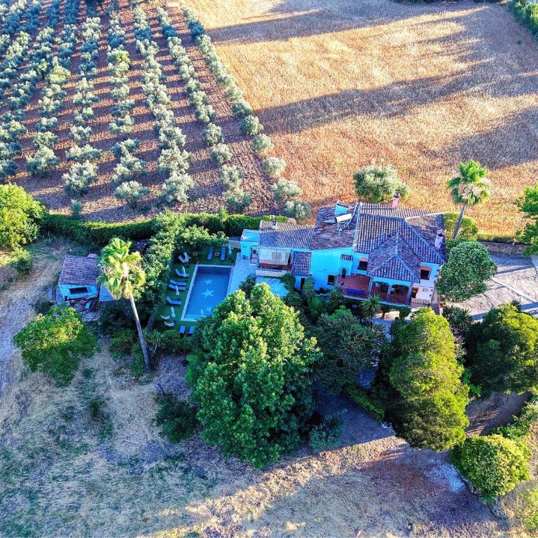 XXV- Finca La Cantara - La Cantara Amarilla - Casa de 4 dormitorios - 7