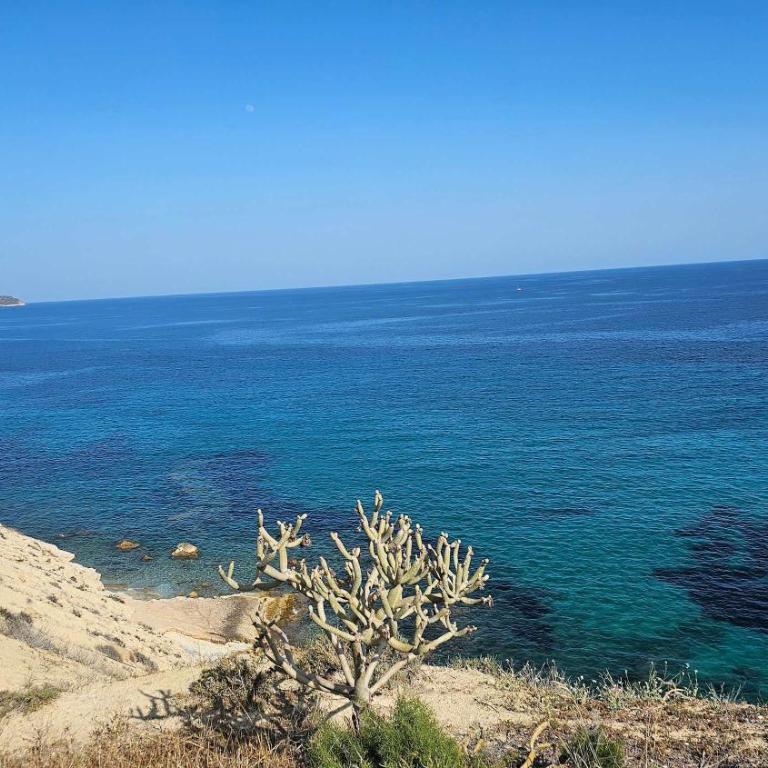 Happy Holidays Villajoyosa by Bookaparadise - Apartment - 29