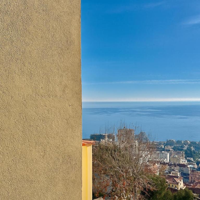 Panoramic Sea & Monaco View 2-Room - Chambre Simple - 18