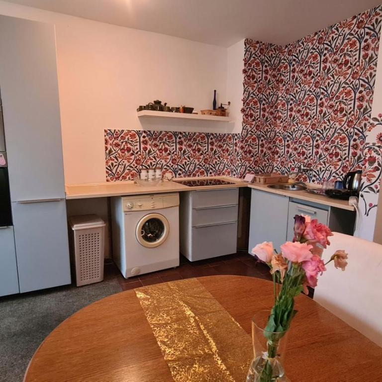 Lovely appartment near NS Fair - Apartman sa 2 Spavaće Sobe - 12