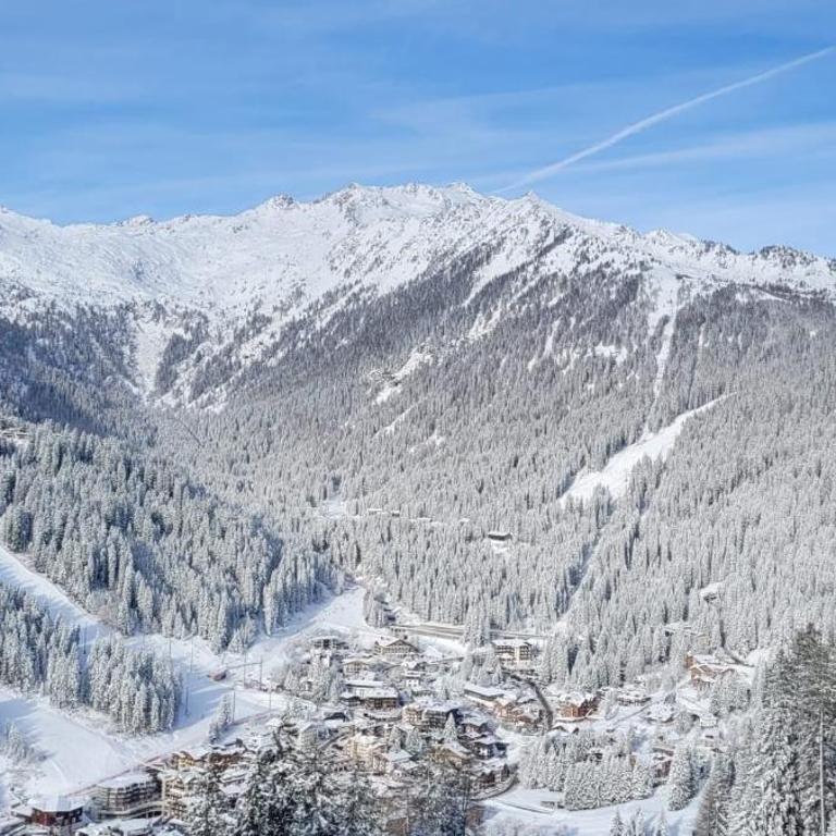 Wolf Appartment very nice for 4, Marilleva 900, Val di Sole - Appartamento con 1 Camera da Letto e Terrazza - 72