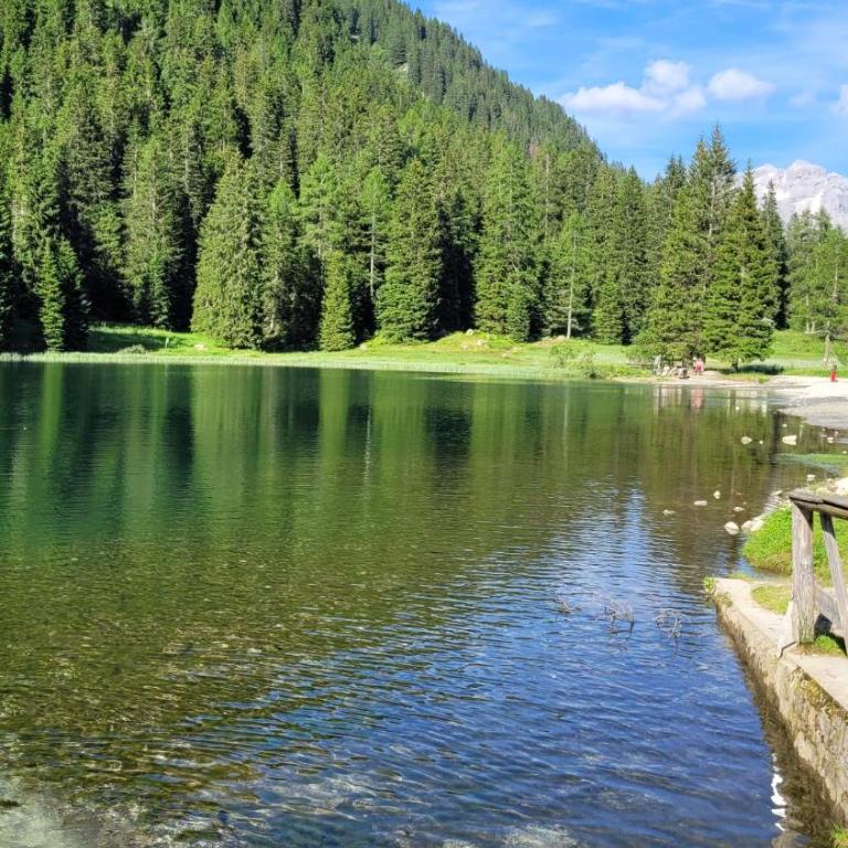 Wolf Appartment very nice for 4, Marilleva 900, Val di Sole - Appartamento con 1 Camera da Letto e Terrazza - 59