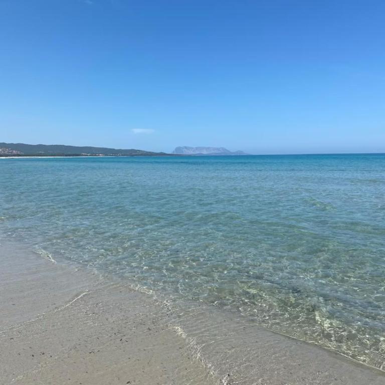 Casa Lucia vicino al mare - Appartamento con 1 Camera da Letto - 14