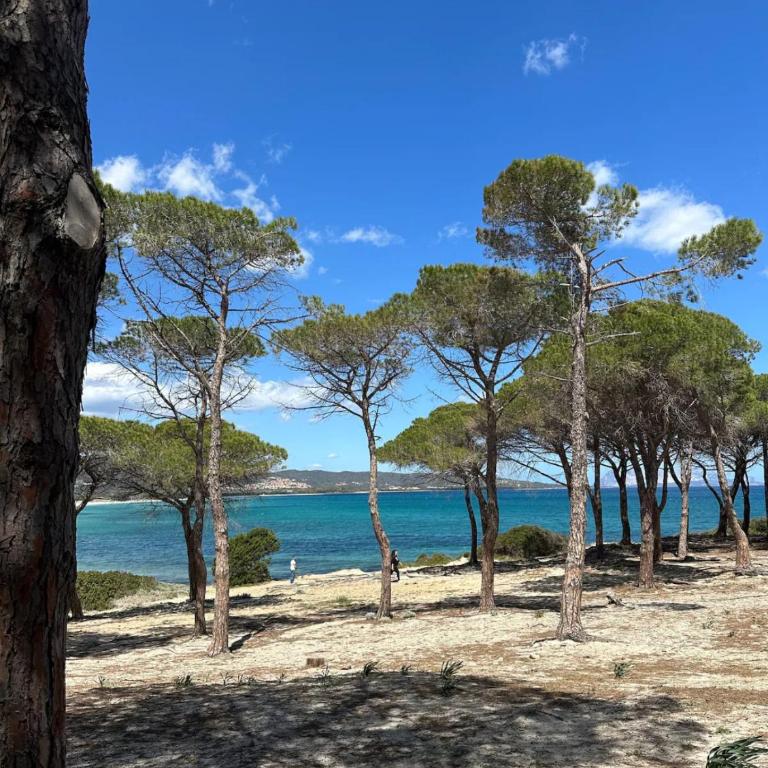 Casa Lucia vicino al mare - Appartamento con 1 Camera da Letto - 15