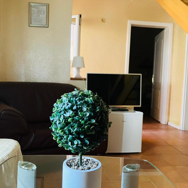 Lovely Garden Executive 100m2 Apartment - Business & Long Stay Novi Sad - Apartman sa 2 Spavaće Sobe - 30