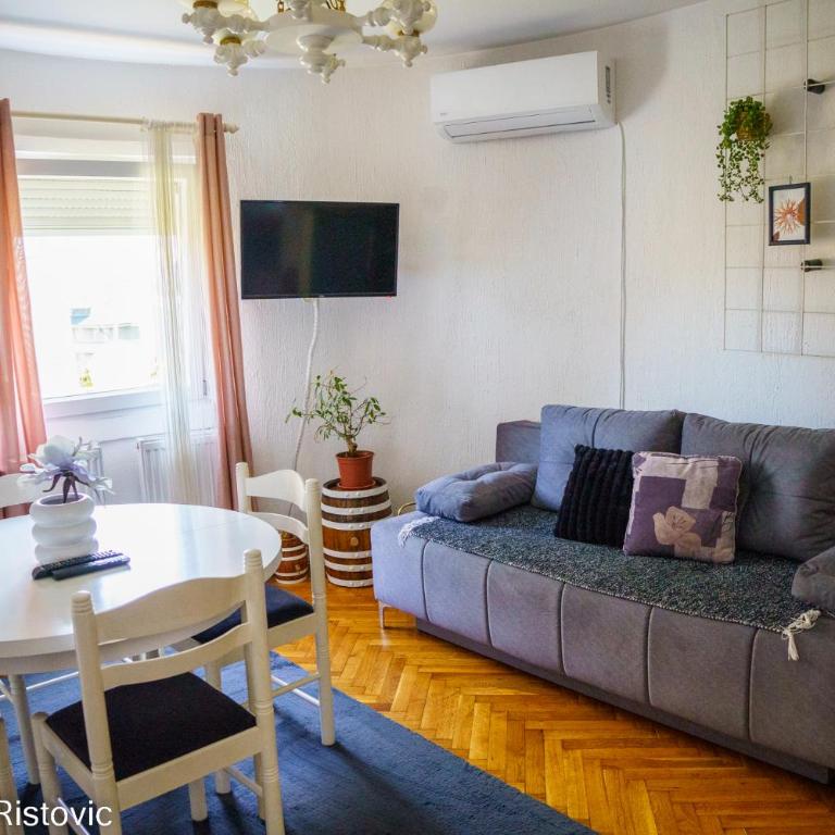 Apartman Ristovic - Apartman sa 3 Spavaće Sobe - 9