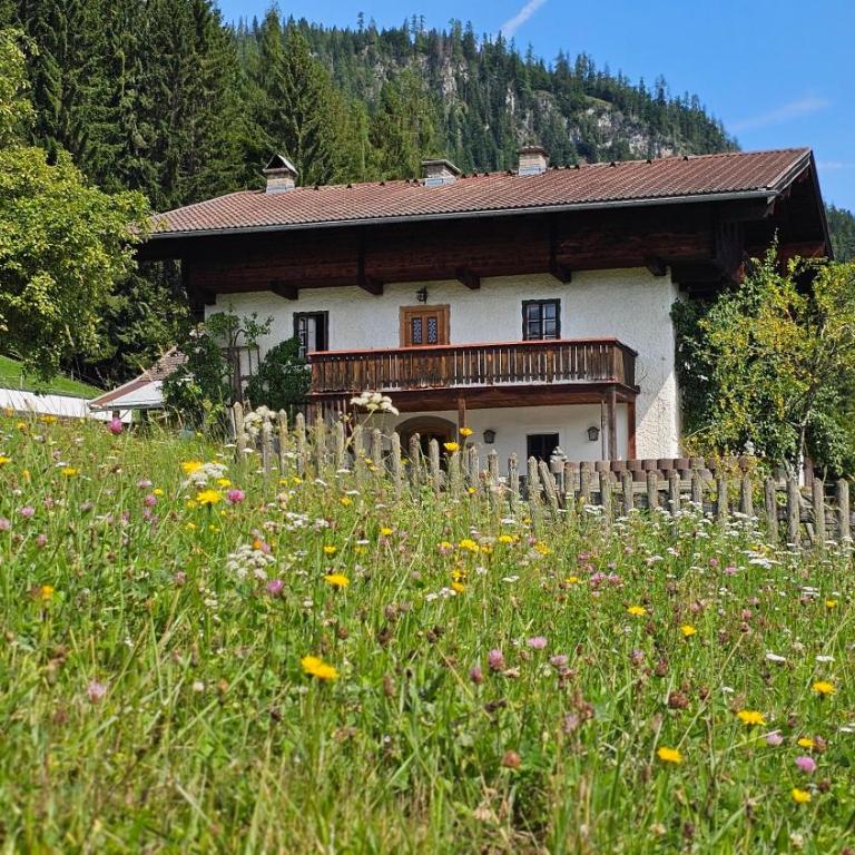 Pfleger Ranch am Schönegg Gut - Appartement - 5