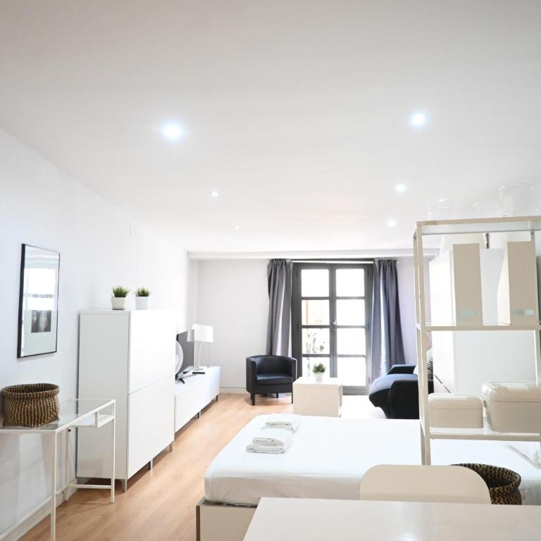 Homenfun Barcelona Ciutat Vella - One-Bedroom Apartment - 43