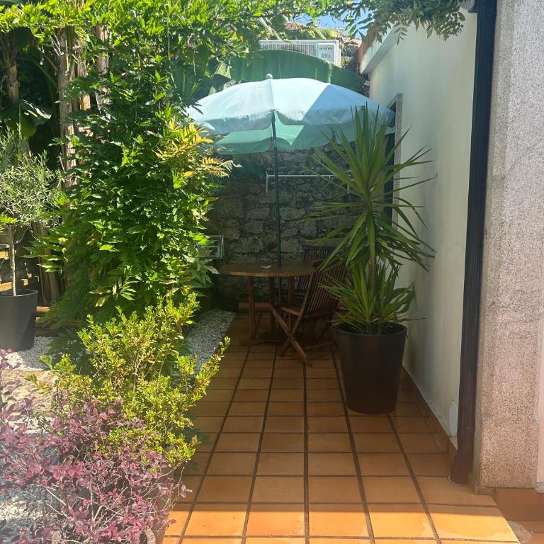 COTOLAI - Apartamento de 1 dormitorio con vistas al jardín - Bloque 1 - 38
