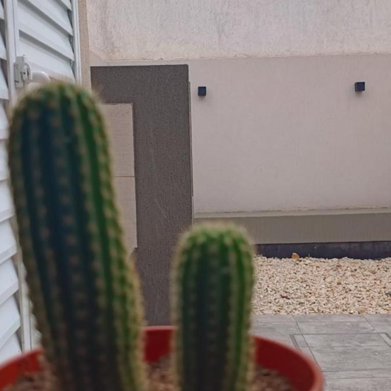 Descanso en el Sur - Two-Bedroom Apartment - 11