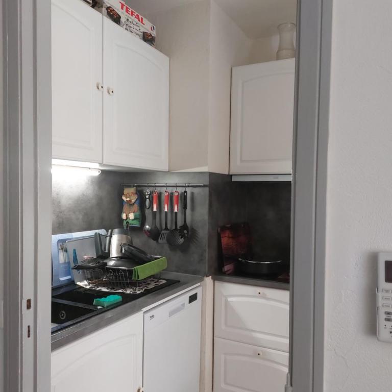 Goelette - Apartamento de 1 dormitorio - 7