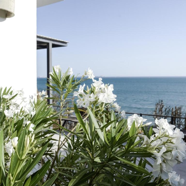Casa Vista Azul - Villa de 3 dormitorios - 55