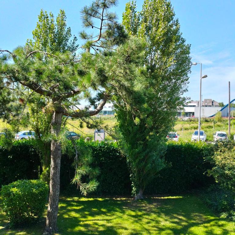 Calme et Cosy, T2 refait à neuf en Juillet 2025 - One-Bedroom Apartment - 10