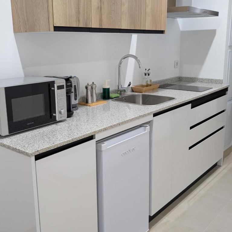 Apartamentos Gran Capitán - parking opcional - One-Bedroom Apartment with Terrace - 5