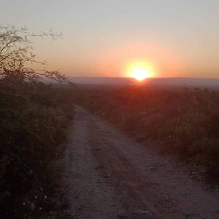 Aire de lavandas - Apartamento de 1 dormitorio - 6