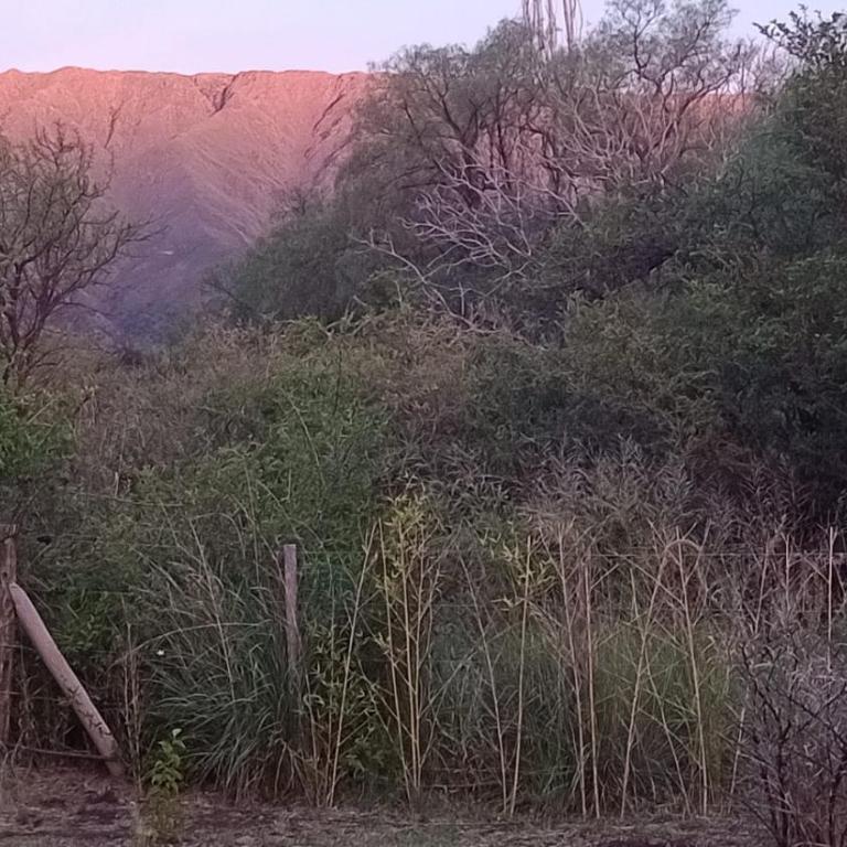 Aire de lavandas - Apartamento de 1 dormitorio - 9