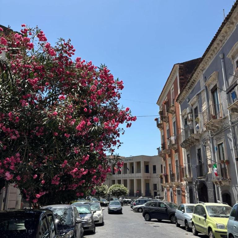 SIKELIA 42 - Catania Centre - Appartamento con 2 Camere da Letto - 15
