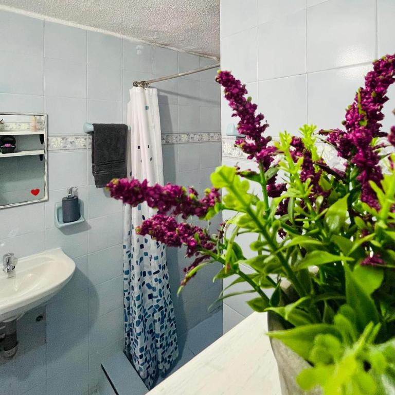 Aparta estudio buena ubicacion - One-Bedroom Apartment - 13