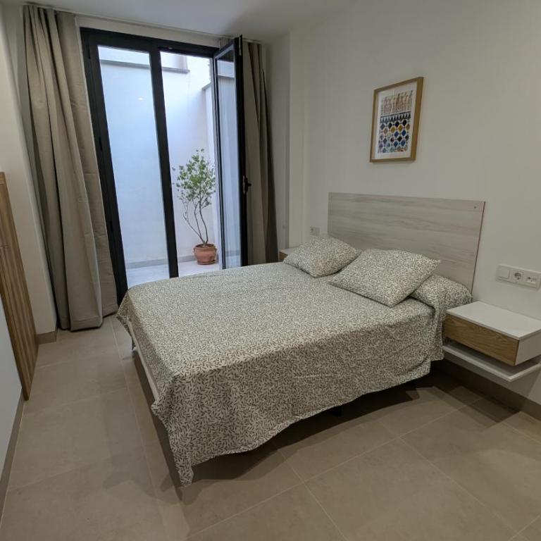 Apartamentos Gran Capitán - parking opcional - One-Bedroom Apartment with Terrace - 10