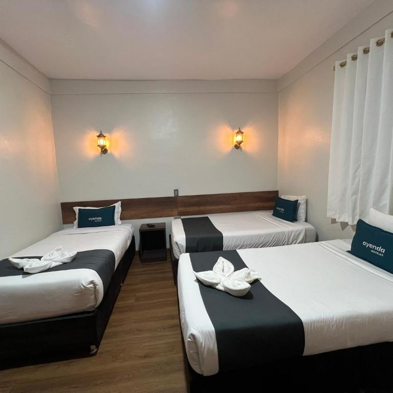 Andina Pardo Casa Boutique - Habitación Familiar con baño privado - 4