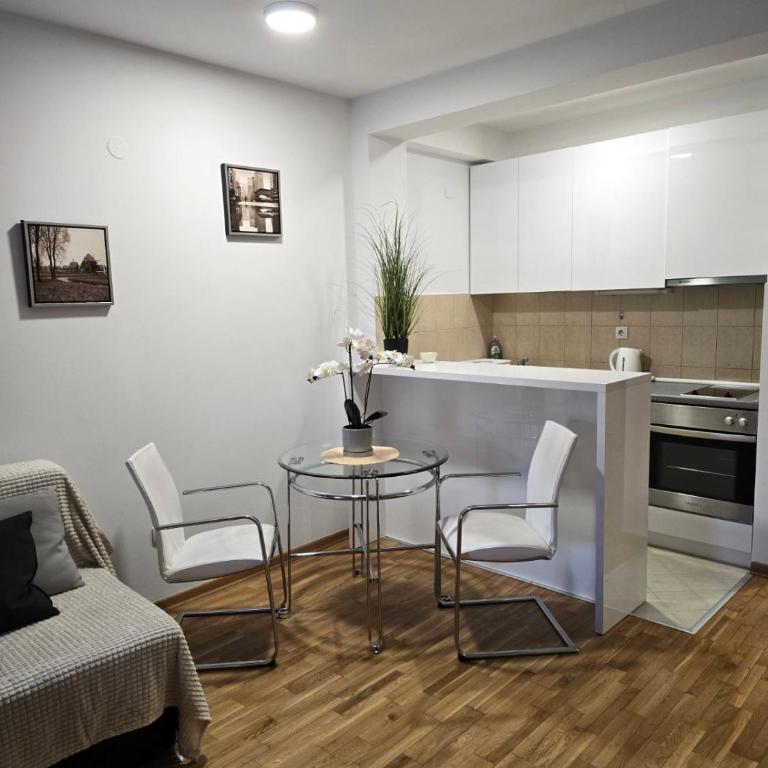 Slavia center apartment - One-Bedroom Apartment - 6