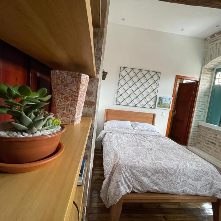 Comfy Balcony Suite in Centro Histórico - Apartamento de 1 dormitorio - 1