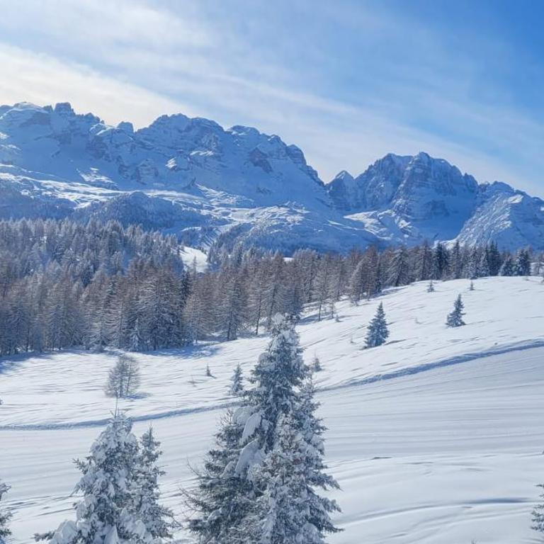 Wolf Apartment nice for 4, Marilleva 900, Kristall, Val di Sole - Apartment mit Blick auf die Berge - 80