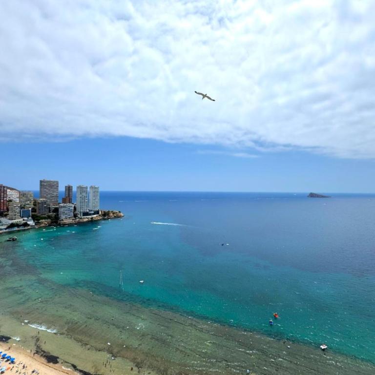 Torre levante 30 - Apartamento de 1 dormitorio - 1