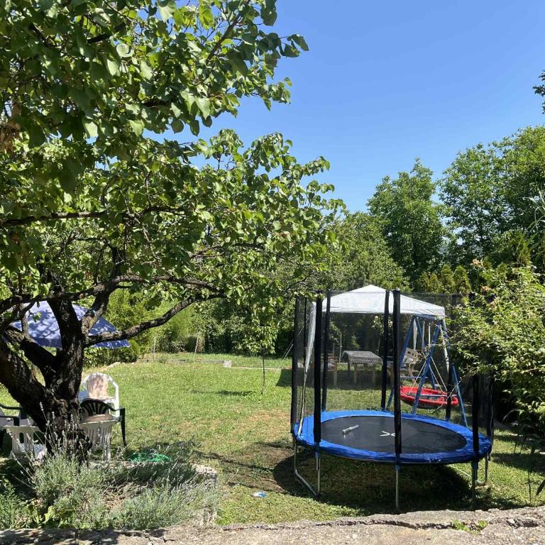 Apartman Jelena - One-Bedroom Apartment - 1